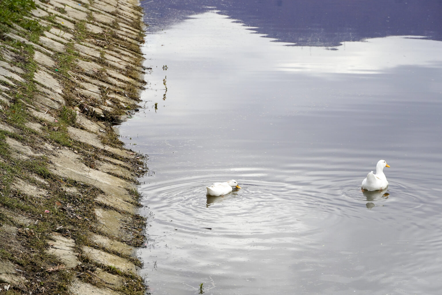 Boville_Liqeni i Thate_030