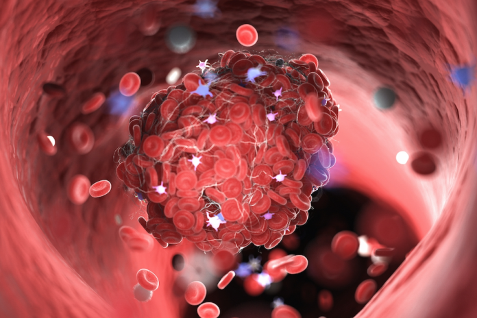 shutterstock_1440889268