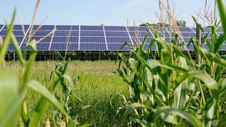 Projektligji për bujqësinë në ShBA nuk fsheh insektet në etiketat e ushqimeve