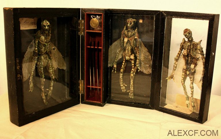 Muzeu i krijesave mitike që ndahet në rrjet është një krijim artistik