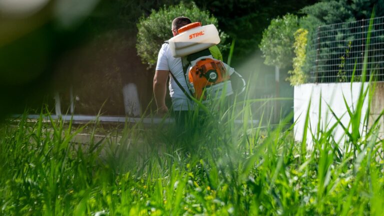 Dezinsektim pas dy vitesh mungese