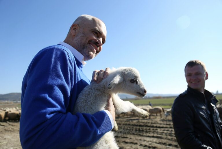 Shqipëria po zbrazet edhe nga kafshët Shqipëria po zbrazet edhe nga kafshët