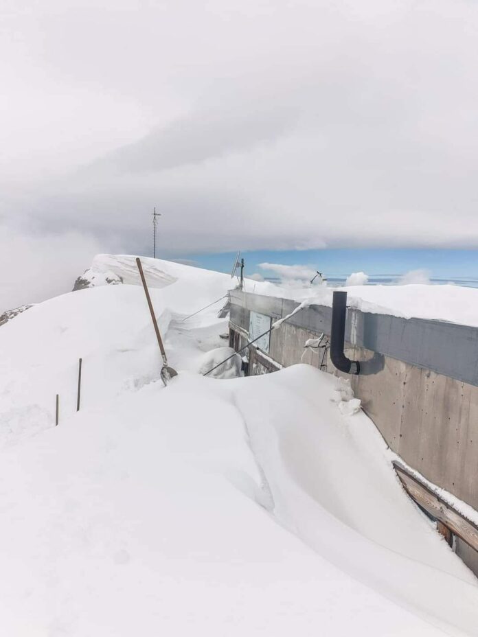 448239754_122118206096313679_583694330042730977_n