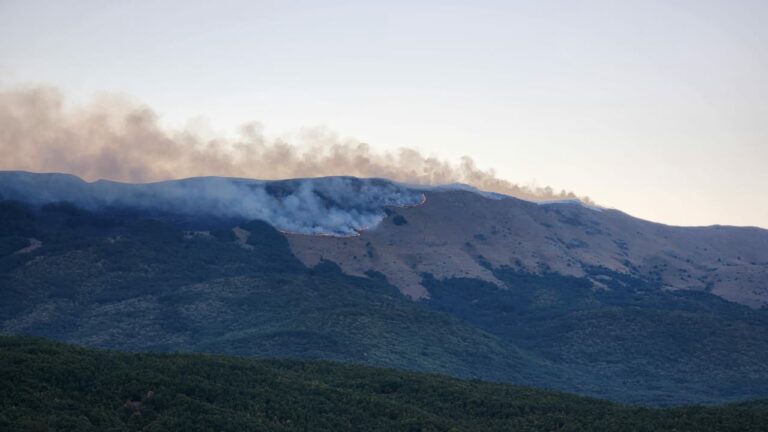 Parku Kombëtar i Prespës nën pushtetin e flakëve
