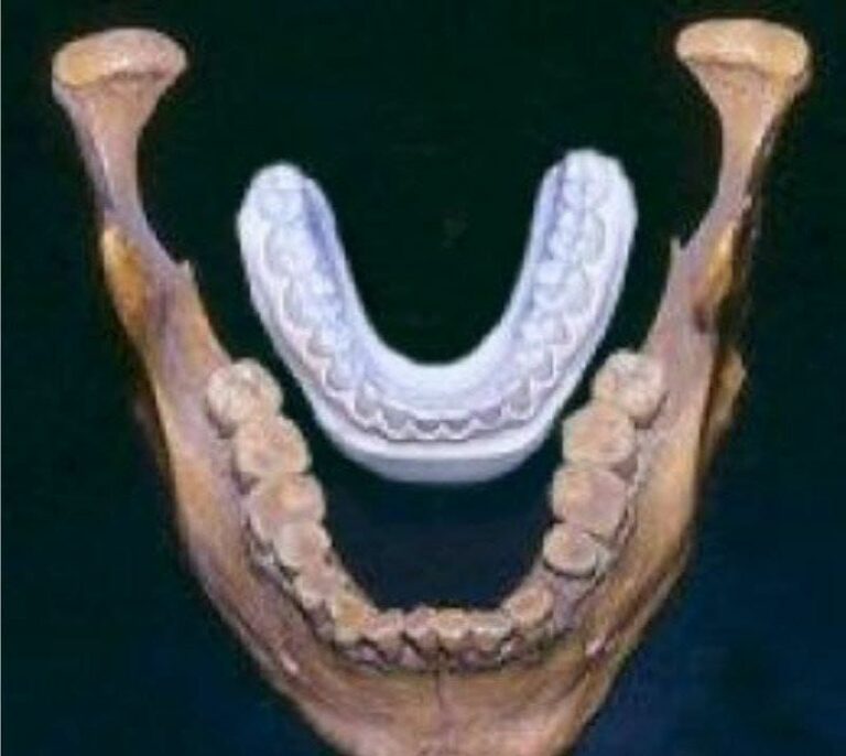 Iluzioni optik i një nofulle prehistorike nxit teorinë e gjigandëve të zhdukur