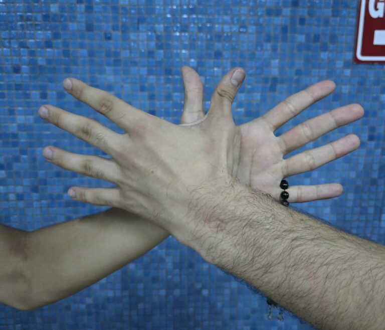 Simboli i shqiponjës u guxua në Tuzin shqiptar dhe jo në Serbi