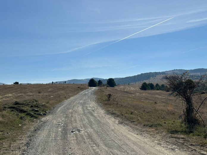 WhatsApp Image 2024-11-04 at 10.15.00 (1)