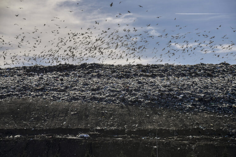 Sharrë, plehrat në derë të banesave