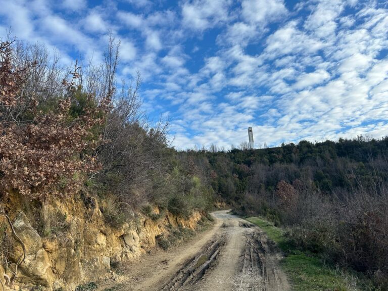 Shenjorja e “Nënë Terezës”, peng i vendimeve që  institucionet nuk i njohin
