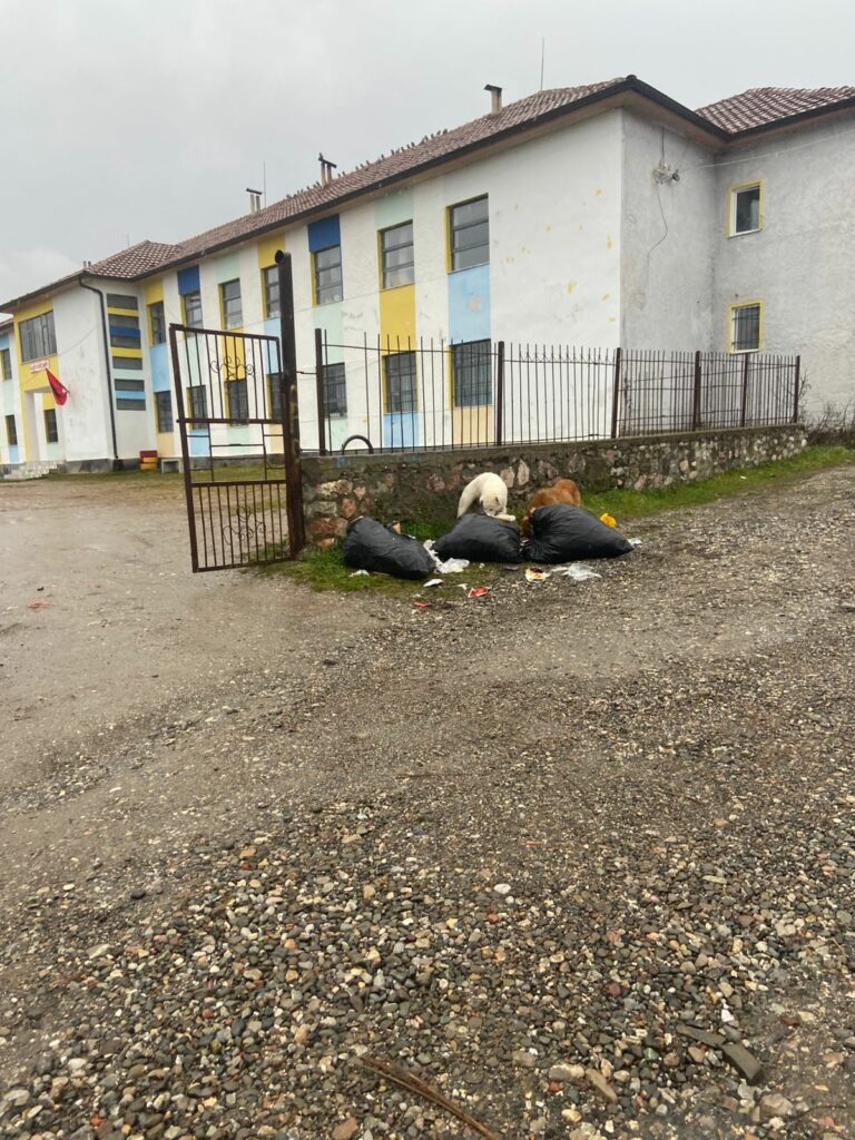 Mungesa e koshave të mbeturinave në fshatin Rreth Kale dhe Muhurr në Dibër