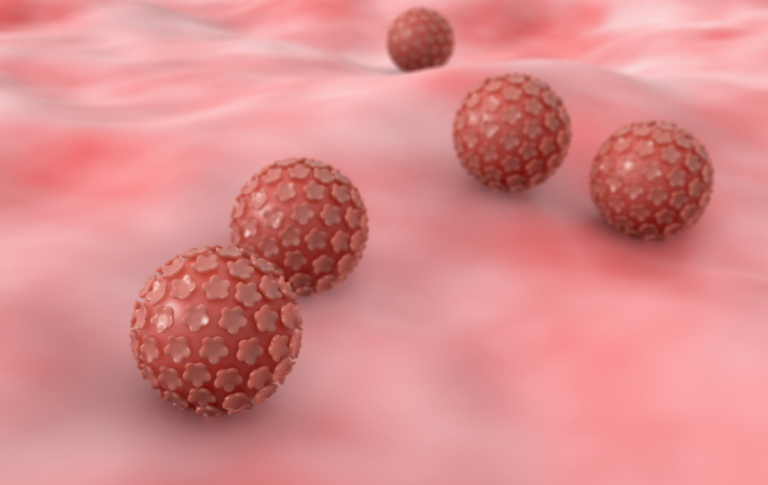 Mjekimi për papilomat me mjekë të rremë