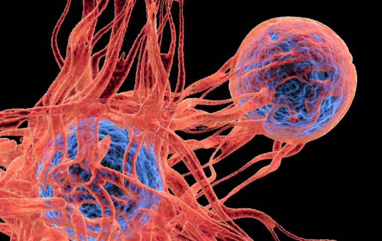 Asnjë dyshim se kimioterapia shpëton jetë