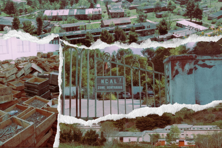 Shqipëria vendprodhim armësh? Nga izraelitët tek arabët, kush janë 15 kompanitë e huaja që po shfaqin interes