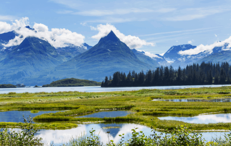 E keqinterpretuar vlera e ulët e shitjes së Alaskës nga Rusia