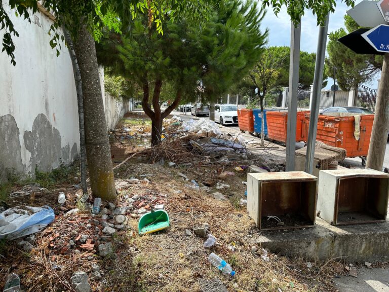 Kavajë, bashkia pastron koshat e mbeturinave por “harron” papastërtinë në rrugë