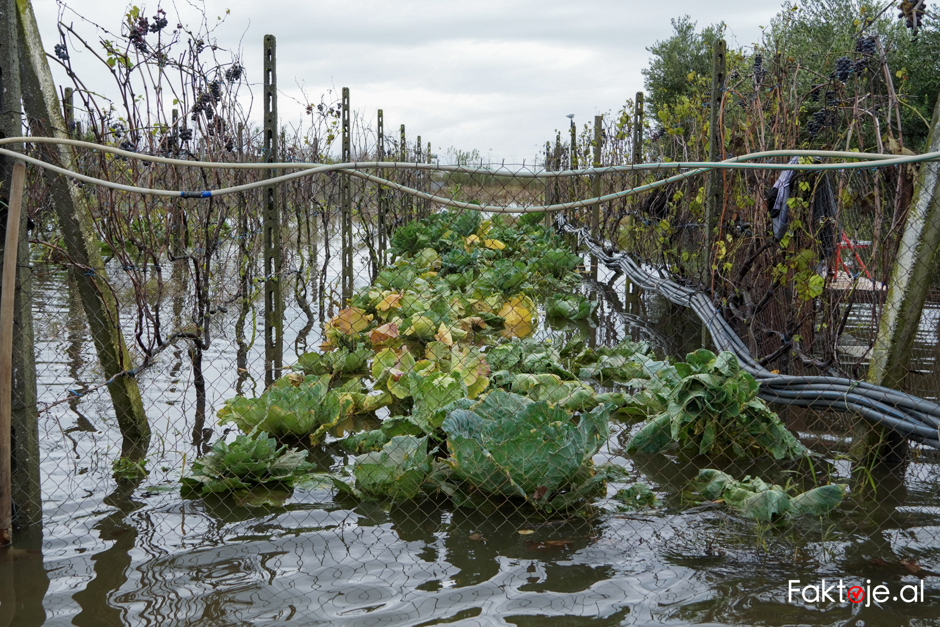 Permbytjet Lezhe-Edited_020_watermarked