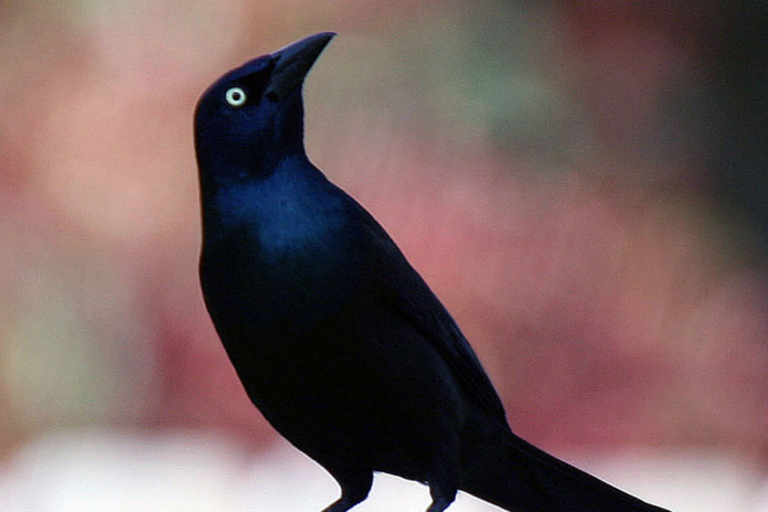 Screenshot 2026-03-27 165901