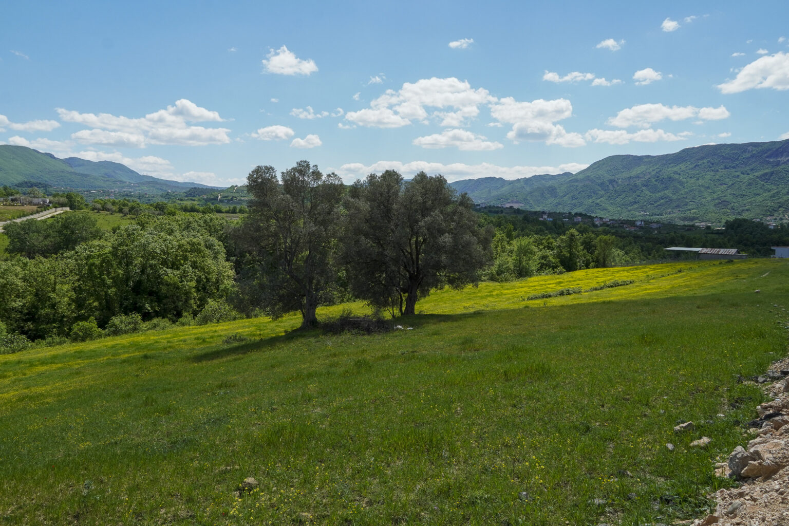 Qeha-Mangull-Tokat_016