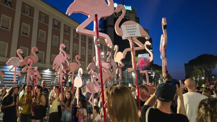 protesta 10