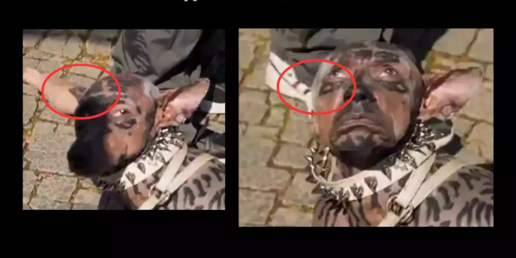 Detajet e videos së djalit të kthyer në qen